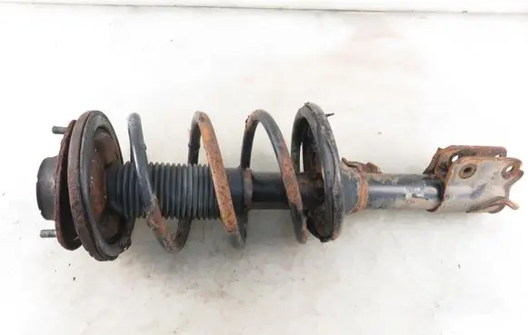 Hyundai Santa Fe Front shock absorber with coil spring 