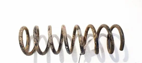 Ford C-MAX II Rear coil spring 