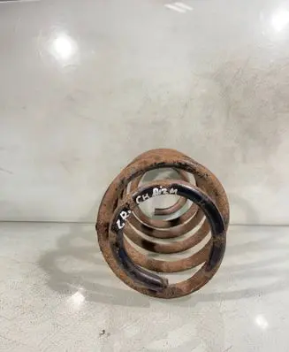 Rear coil spring