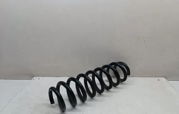 Rear coil spring