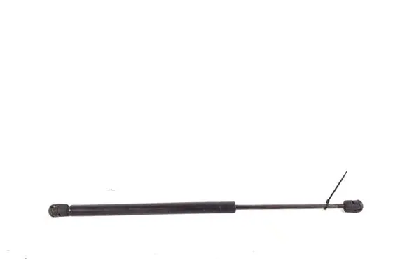Tailgate strut