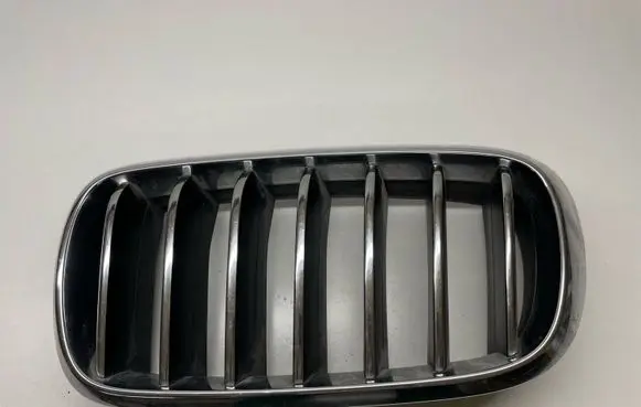 BMW X5 F15 Front bumper upper radiator grill 7316057 7316075