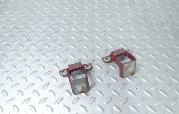 Dacia Sandero III Loading door hinge set 844002173R