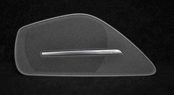 Dash center speaker trim cover