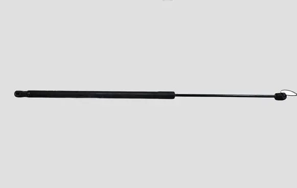 Ford C-MAX II Tailgate/trunk strut/damper AM51R406A10AB