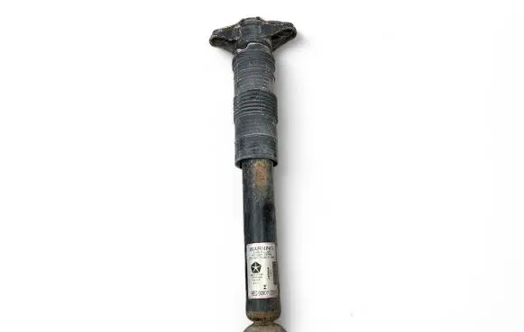 Dodge Durango III Rear shock absorber/damper 55553E