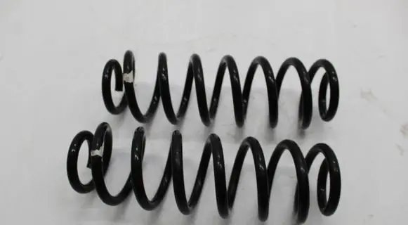 Skoda Kodiaq Rear shock absorber with coil spring 