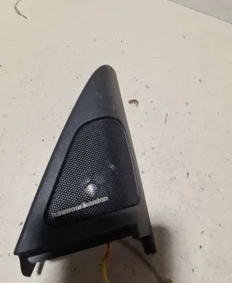 Side speaker trim/cover