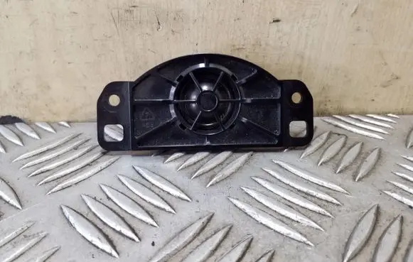 Panel speaker