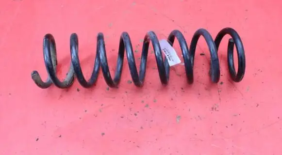 Rear coil spring