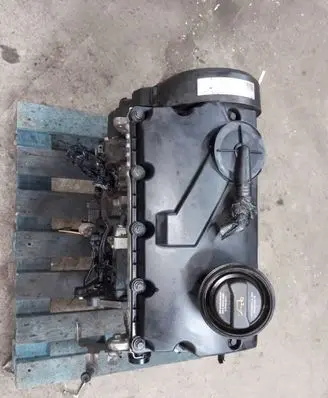 Volkswagen PASSAT B6 Engine BKC