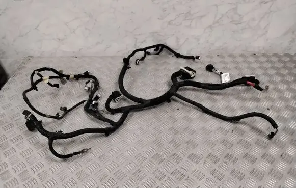 Ford Mach-E I Other wiring loom LJ8T12B637NBG