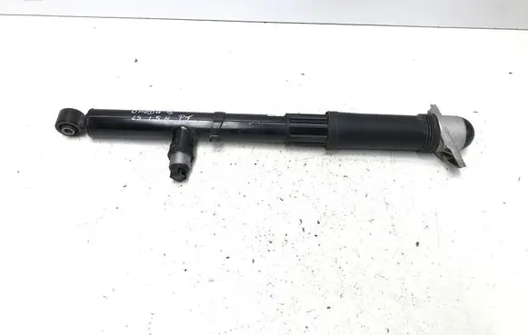 Chery 9/C9 Rear shock absorber/damper 202004403AA