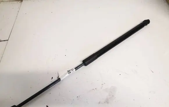 Tailgate/trunk strut/damper