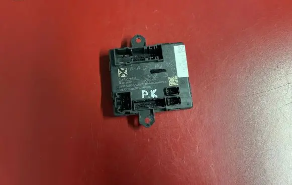 BMW X1 U11 Door control unit/module 5A70CB6 61355A70CB6