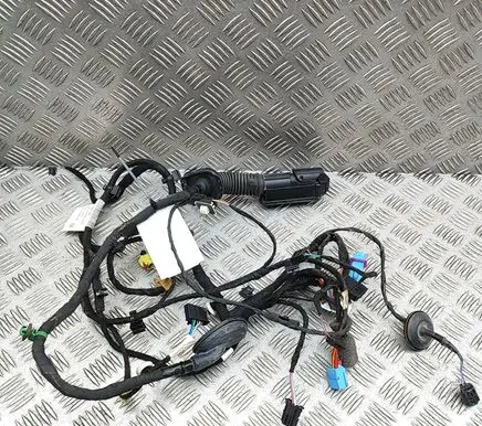 Skoda Enyaq iV Front door wiring loom 5LB971120AQ
