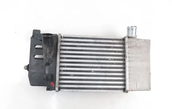 Toyota Urban Cruiser (XP110) Intercooler radiator JD1271005100