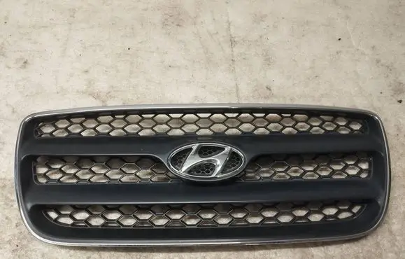 Hyundai Santa Fe Front grill 865612B010