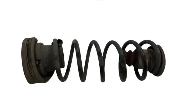 Citroen DS5 Rear coil spring