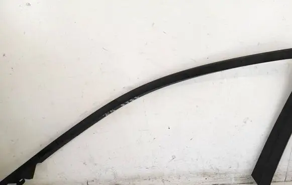 Front door glass trim molding