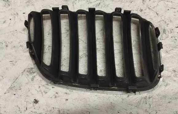 BMW X5 E53 Front grill 51137113737