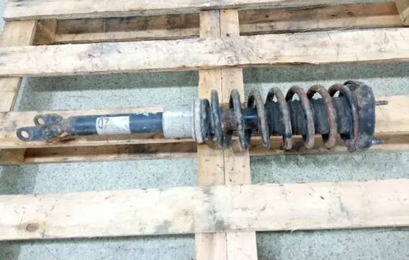 Mercedes-Benz CLS C219 Front shock absorber/damper 2193200713