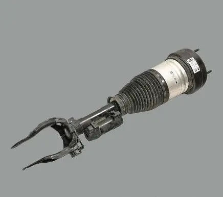 Mercedes-Benz GLS X167 Front shock absorber/damper A1673206504