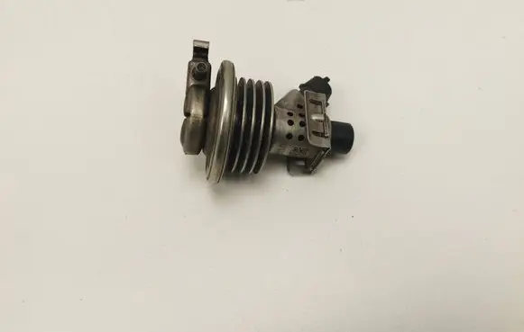 Volkswagen Sharan AdBlue injector 3C0131113C 04440210211