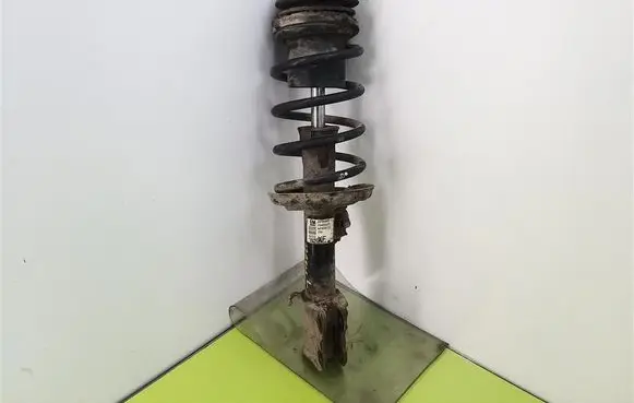 Opel Meriva B Front shock absorber with coil spring 22194807