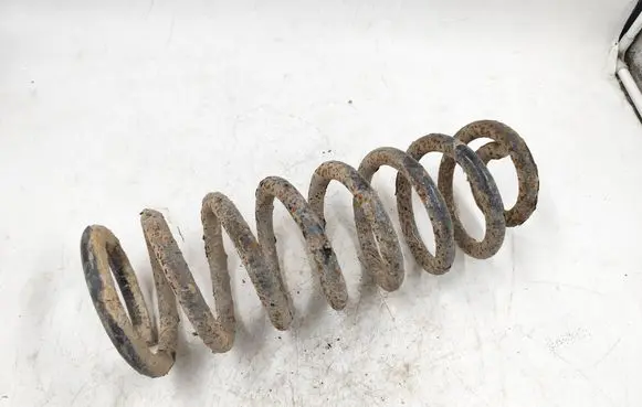 Rear coil spring