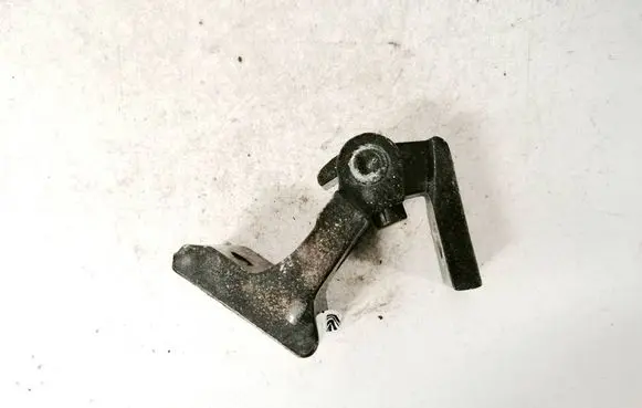 Rear door lower hinge
