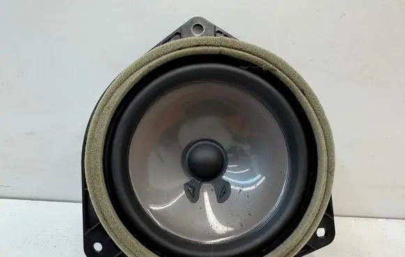 Lexus RX III Rear door speaker 861600E170
