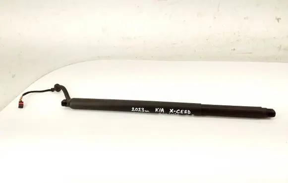 Tailgate/trunk strut/damper