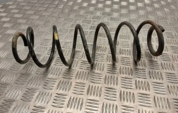 Renault Laguna II Rear coil spring