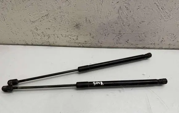 Tailgate/trunk strut/damper