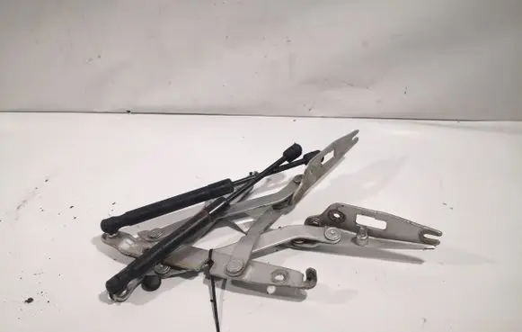 Audi A4 S4 B6 8E 8H Loading door hinge set 8E5827301G 8E5827302C