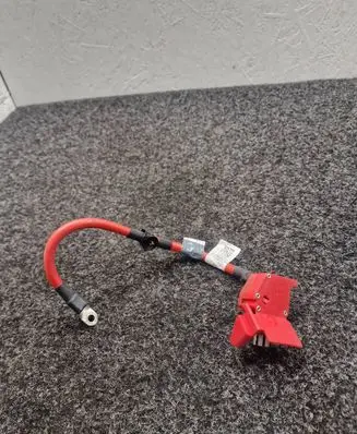 BMW 4 G22 G23 G24 G26 Positive cable (battery) 8796958