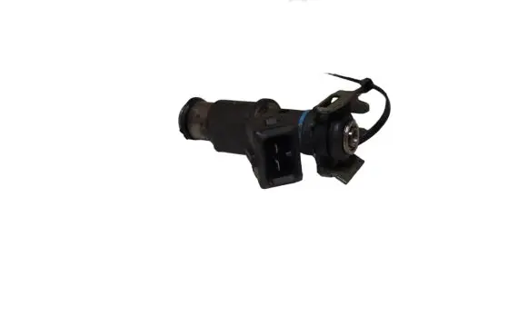 Citroen C3 Fuel injector 01F002A
