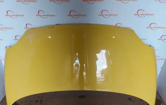Fiat 500 Engine bonnet/hood 