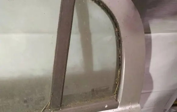 Rear vent window glass