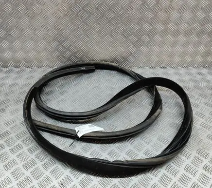 Tesla Model 3 Rubber seal front coupe door CK5220708AC