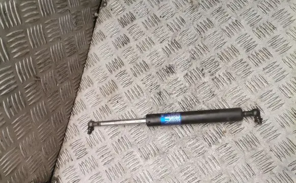 Tailgate strut