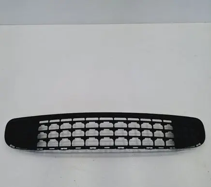 Mini Cooper Countryman R60 Front bumper lower grill 11460913