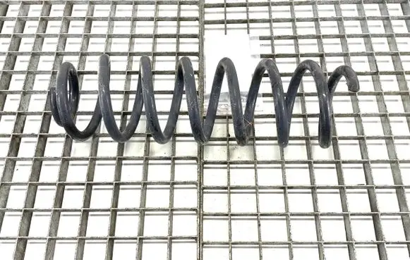 Rear coil spring