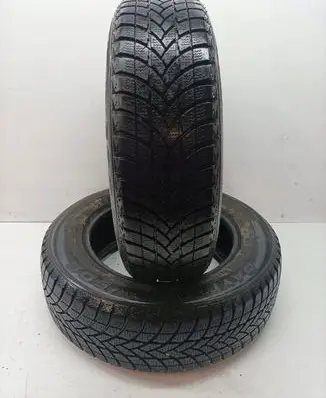 Peugeot 206 R14 winter tire DAYTON