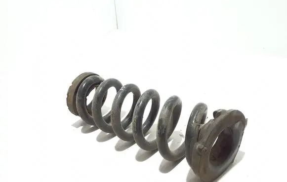 Ford Mach-E I Rear coil spring LJ9C5560ANE