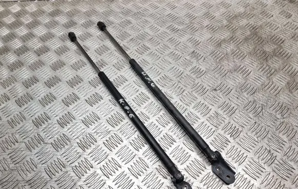 Toyota Corolla Verso E121 Tailgate strut 