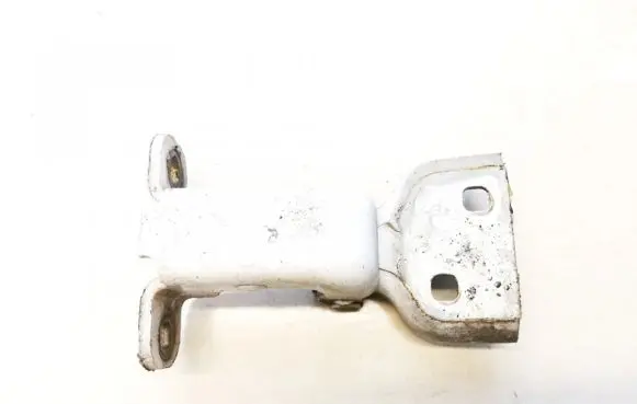 Renault Trafic II (X83) Rear door lower hinge gm66380