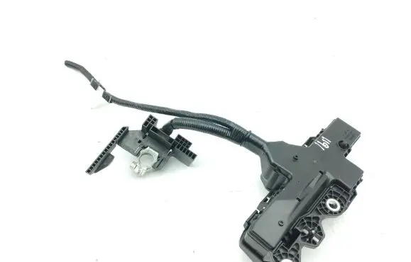 Toyota RAV 4 (XA50) Battery relay fuse 