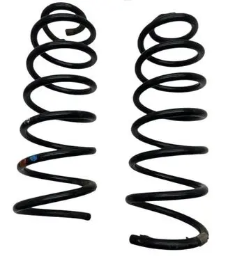 Rear coil spring